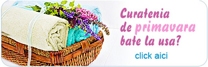 Curatenia de Primavara